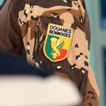 Bétérou : la Douane béninoise saisit 3 000 cartouches de chasse lors d&rsquo;une opération ciblée